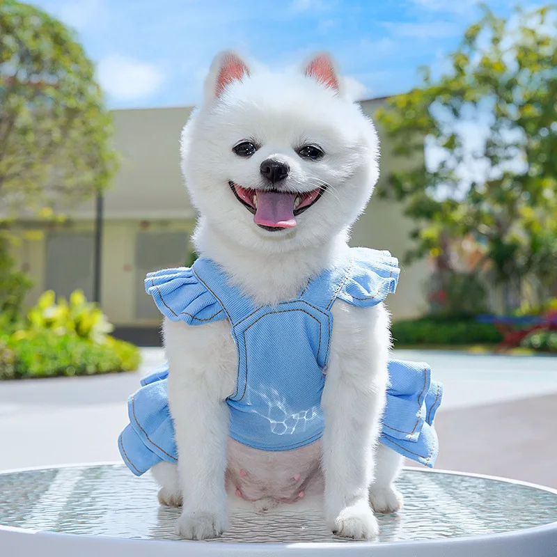 Dog Harness with Leash Breathable Vest Chest Collars Rope Small Dogs Adjustable Outdoor Walking Apparel Pet Dog Accessories - Image 4