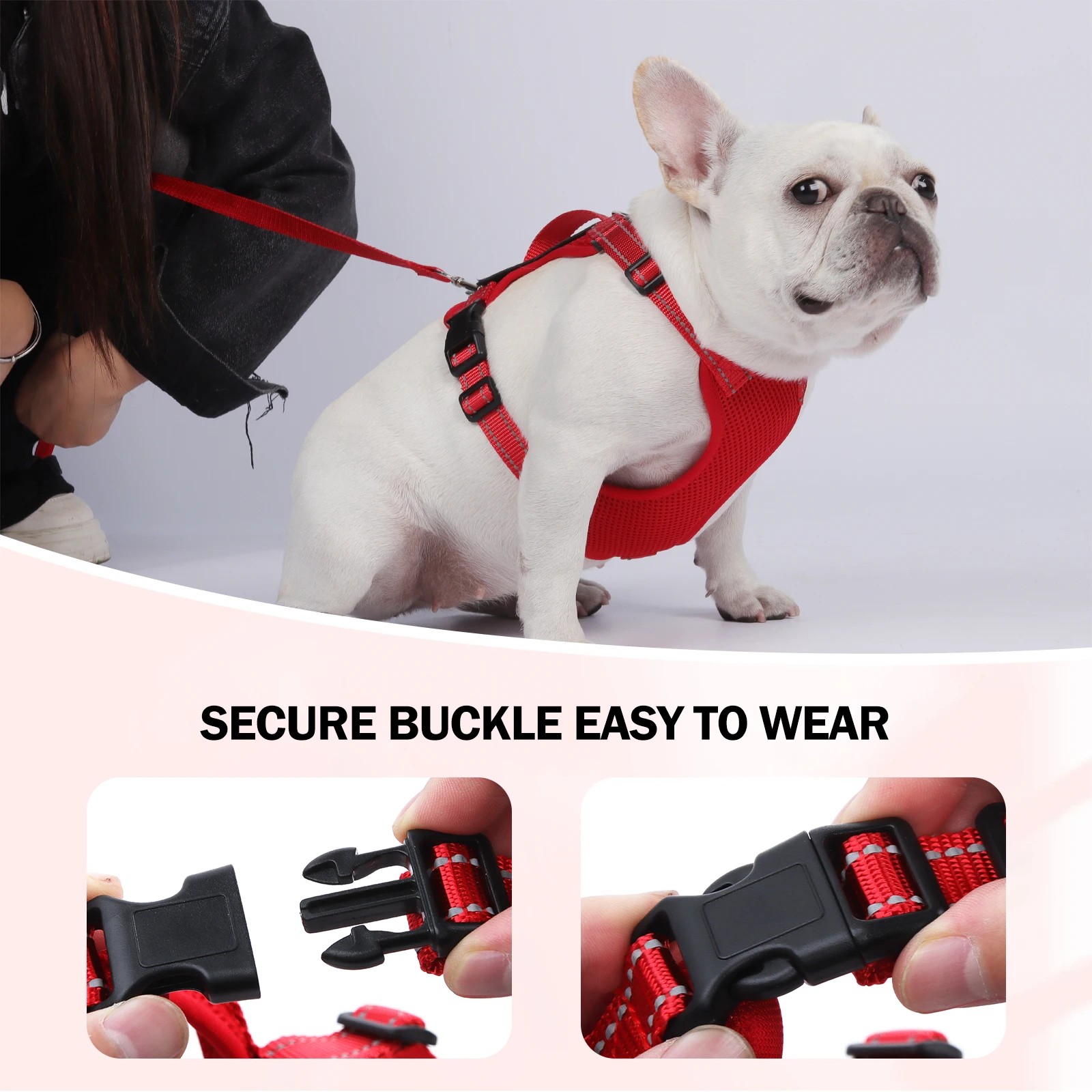 Dog Leash Harness Set Pet Reflective Bichon Frise Small Medium Dog Vest Harness Lead Outdoor Rope Walking Gear French Bulldog - Image 6