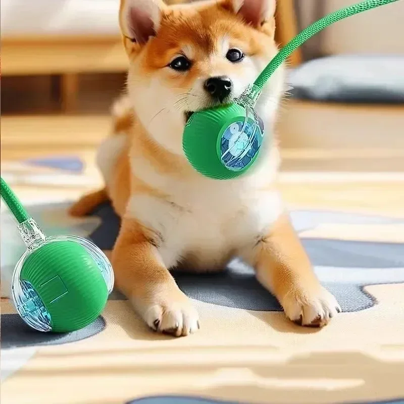 Interactive Automatic Rolling Ball Pet Toy, Rechargeable Electric Smart Toy with Tail for Cats & Dogs Training - Image 3