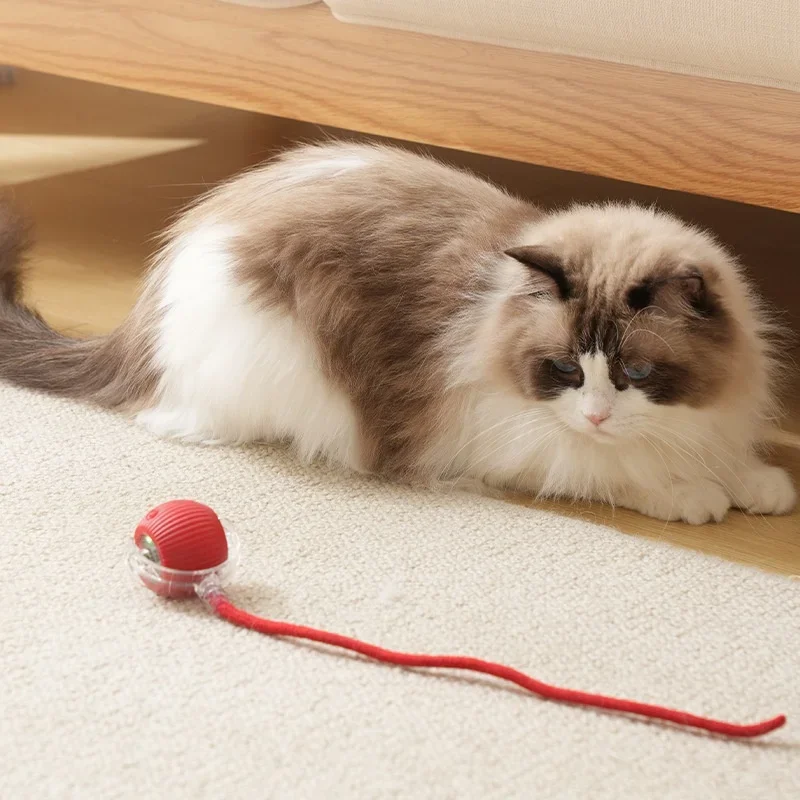 Interactive Automatic Rolling Ball Pet Toy, Rechargeable Electric Smart Toy with Tail for Cats & Dogs Training - Image 2