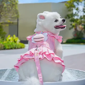 Dog Harness with Leash Breathable Vest Chest Collars Rope Small Dogs Adjustable Outdoor Walking Apparel Pet Dog Accessories